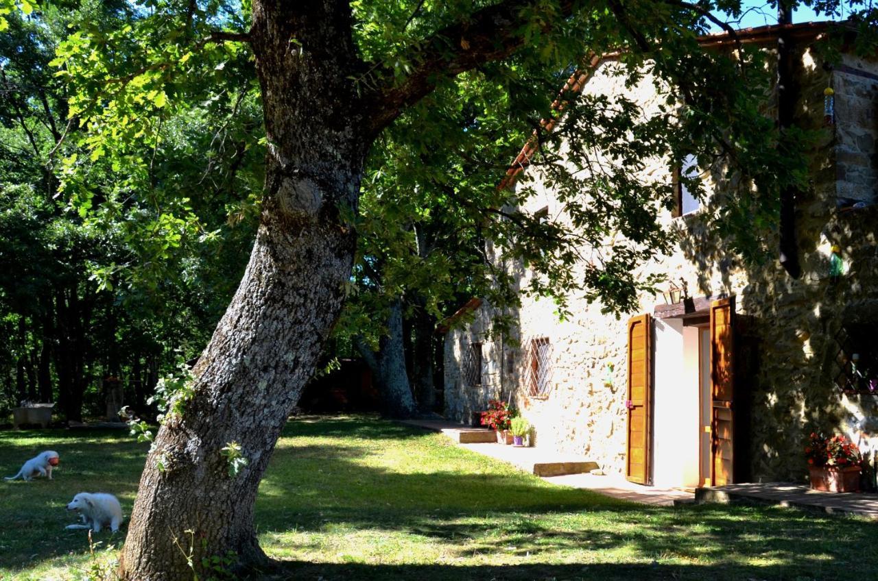 Bed and Breakfast Il Venaio Massa Marittima Exterior foto