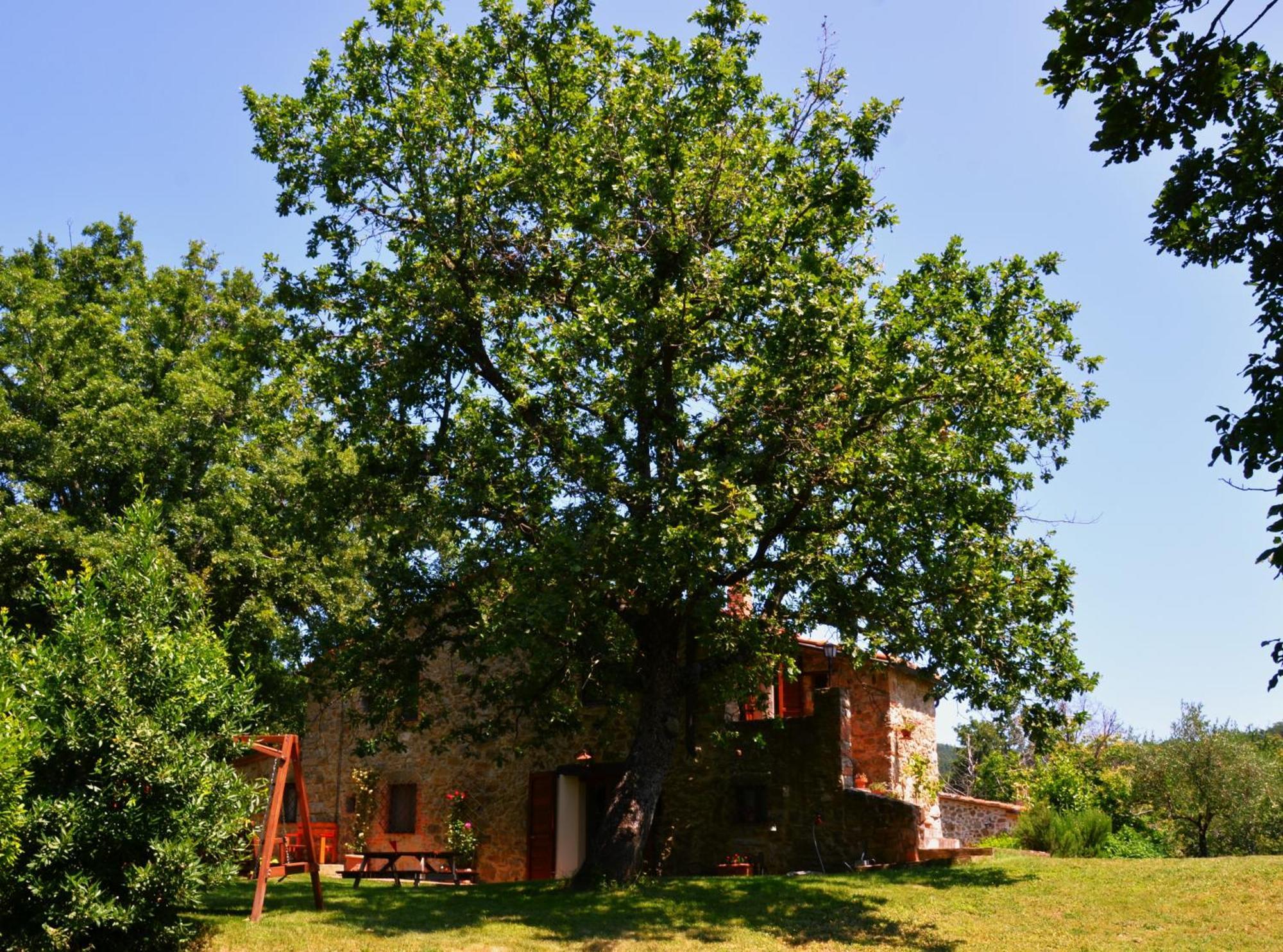 Bed and Breakfast Il Venaio Massa Marittima Exterior foto